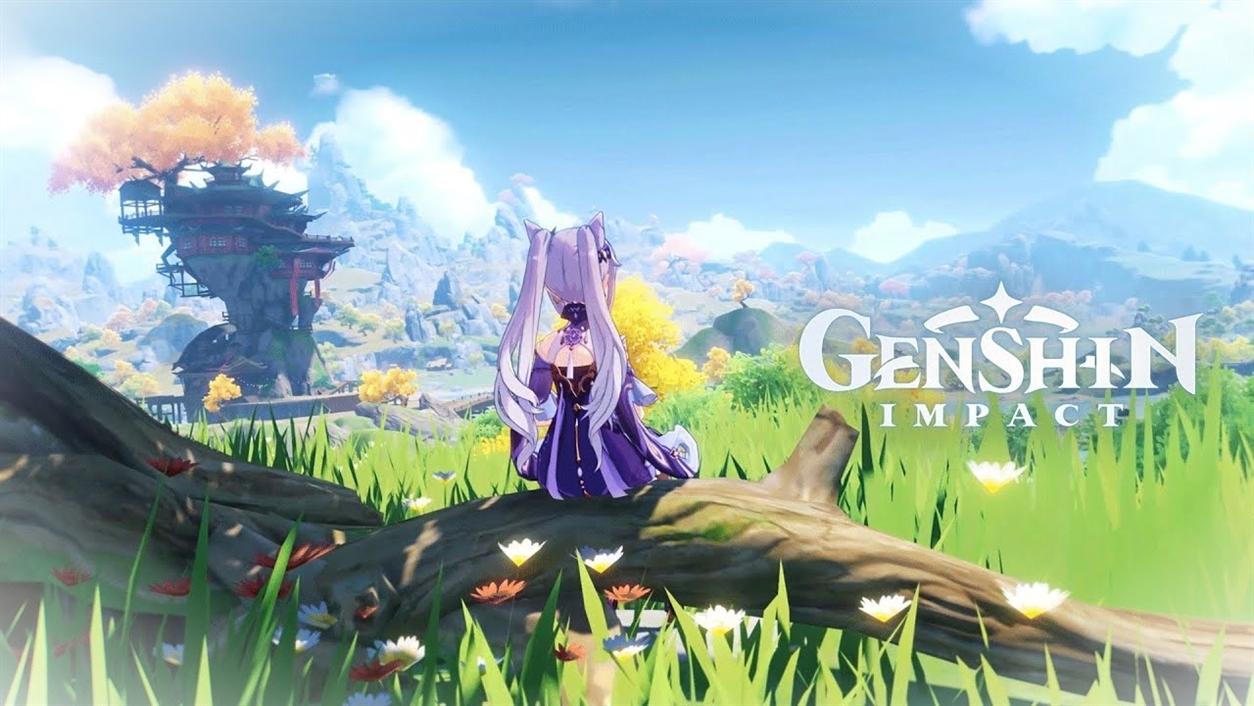 Guide Genshin Impact Objets que les joueurs doivent collectervBpFtGP 1