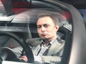 Elon Musk pretend avoir cable le cerveau dun singe pour jouer aux q8SnNs 1 3