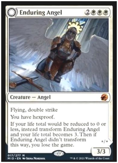 Enduring Angel MWsyr 2 4