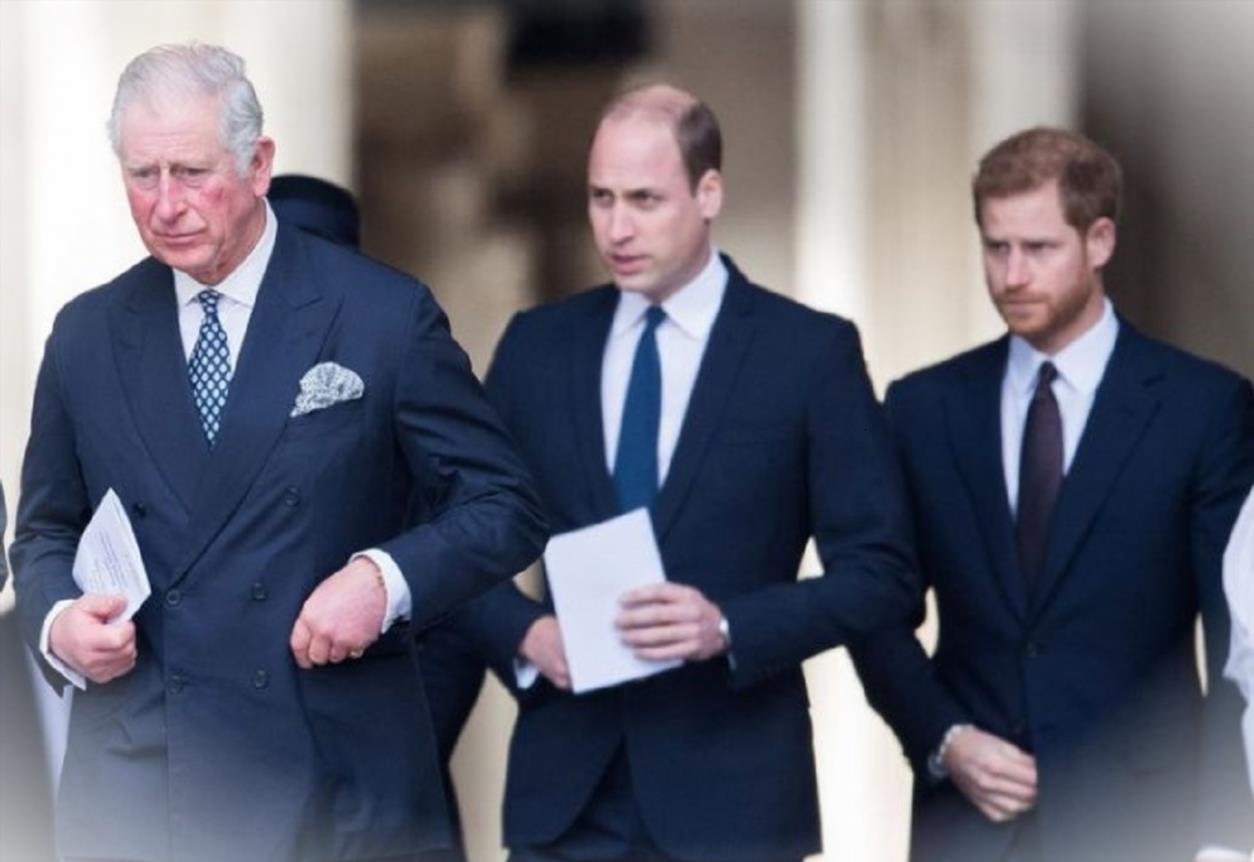 In Coronation Footage Prince William and King Charles III Show SubtleUVOj7Q 4
