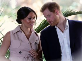 Prince Harry and Meghans Public Show Prior to Alleged TerrifyingJIYWC8 21