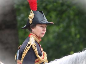 Princess Anne Disagrees with Slimming Monarchy Appears to Criticize0eBeA 3
