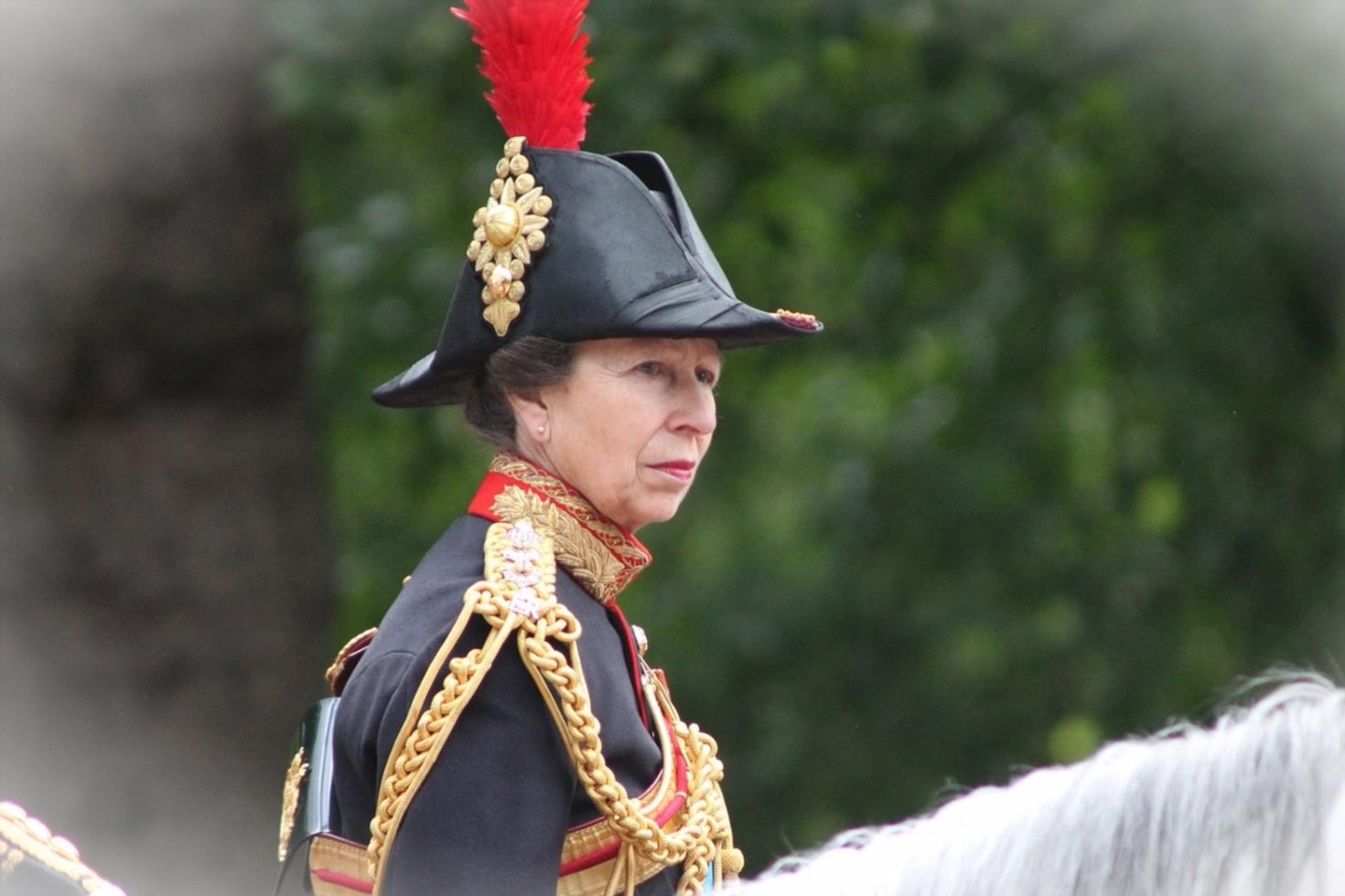 Princess Anne Disagrees with Slimming Monarchy Appears to Criticize0eBeA 5